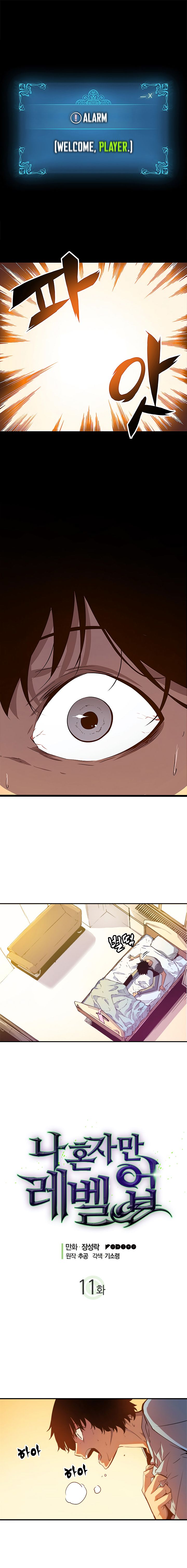 Chapter 11 Image(2)