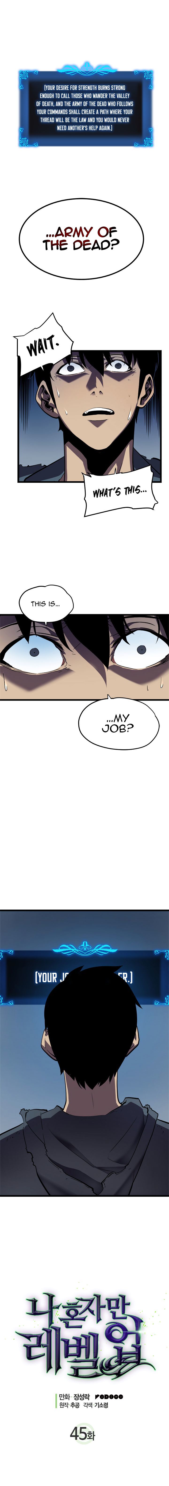Chapter 45 Image(1)
