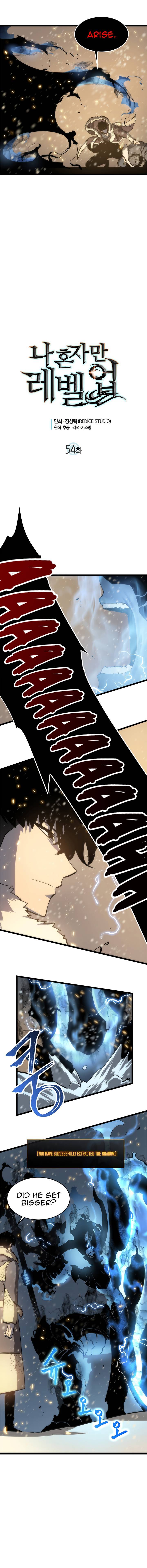 Chapter 54 Image(2)