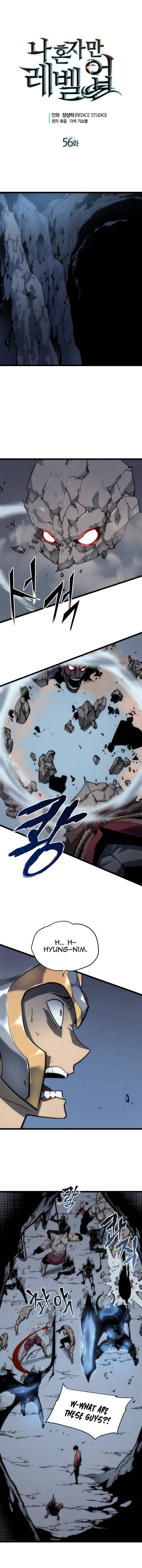 Chapter 56 Image(1)