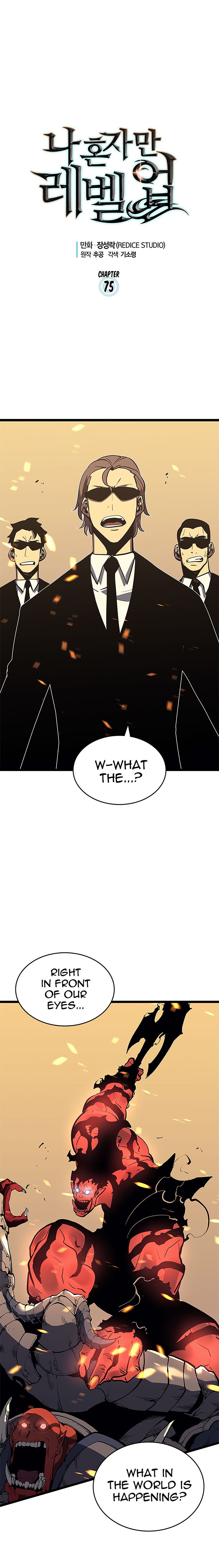 Chapter 75 Image(1)